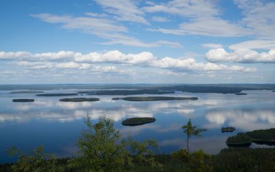 Hyvää 101 syntymäpäivää Suomi 🇫🇮  Muistathan Osta Työtä Suomeen -päivä 7.12.2018!