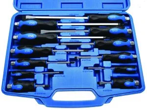 Ruuvimeisselisarja BGS 7895